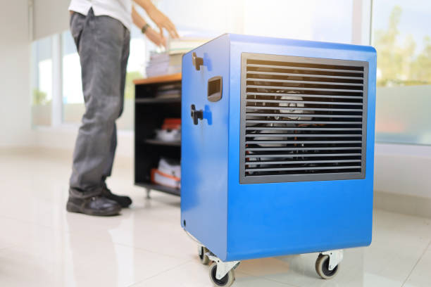 Best HVAC Mold Inspection and Cleaning  in Dennis Port, MA