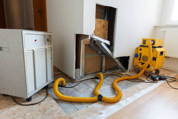 Trusted Dennis Port, MA Mold Removal Experts